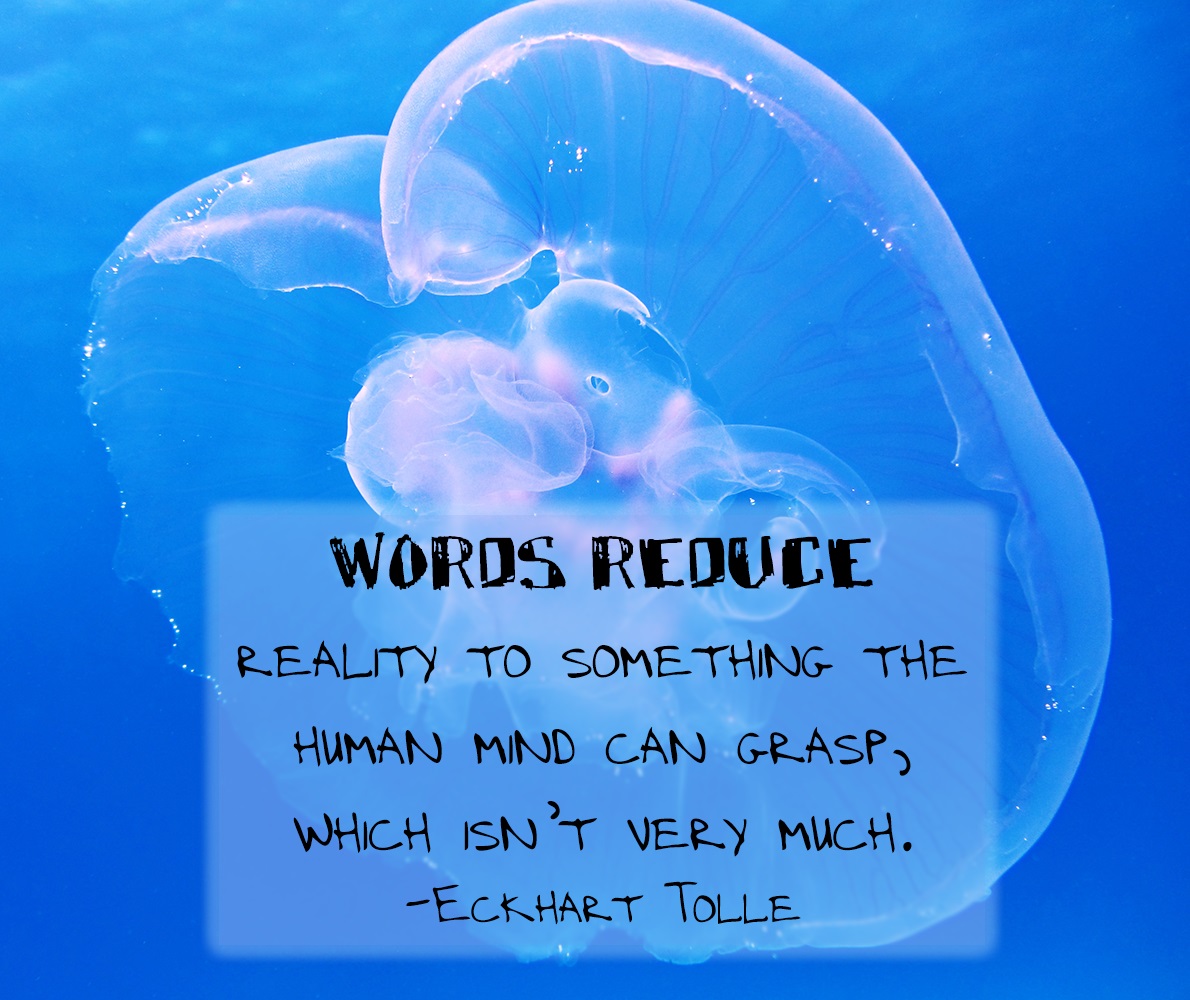 Twelve quotes by Eckhart Tolle on living in present 