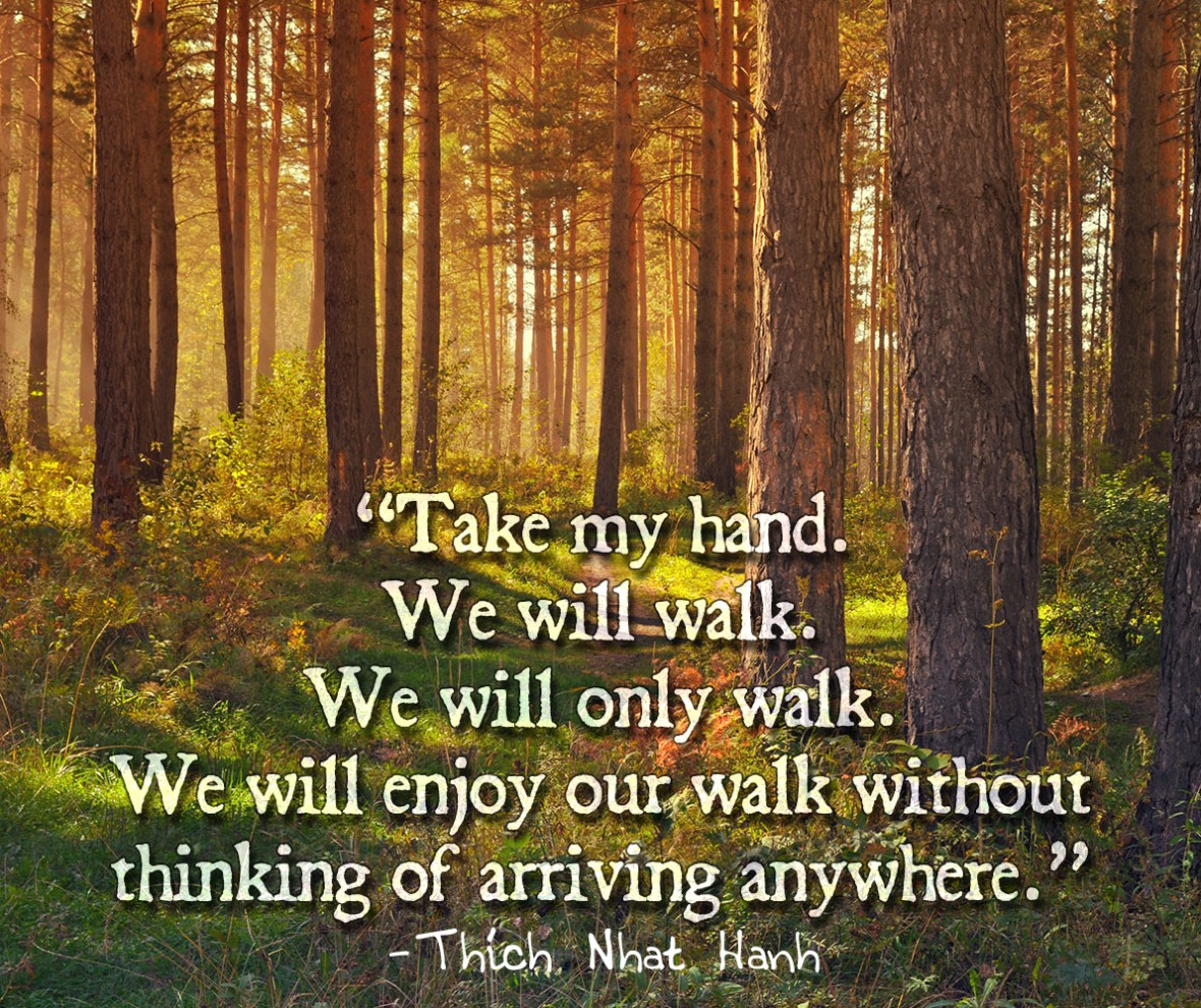 thich-nhat-hanh-take-my-hand-we-will-wal