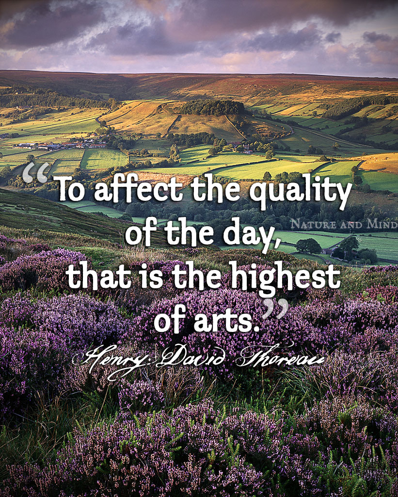 henry-david-thoreau-on-the-quality-of-the-day.jpg